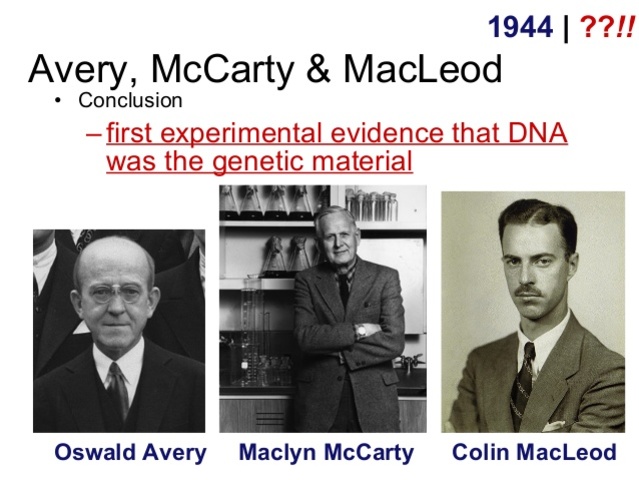 Avery-Macleod-McCarthy