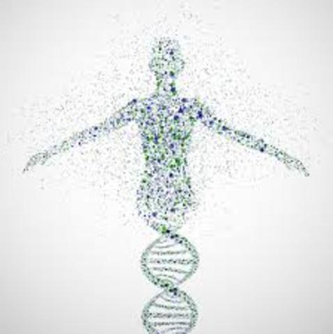 human genome project