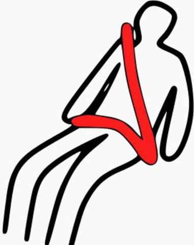 CINTURON DE SEGURIDAD