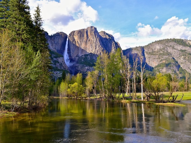 NOS VAMOS DE EXCURSIÓN A YOSEMITE