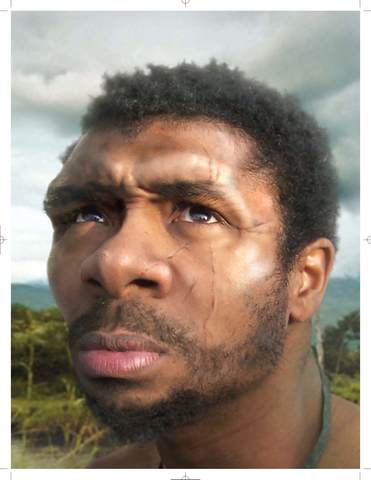 Homo Sapiens Sapiens