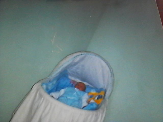 the birth of my brother