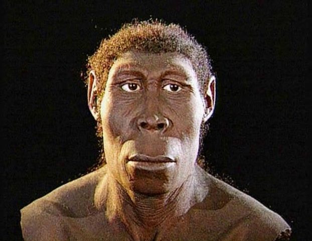 Homo Rudolfensis