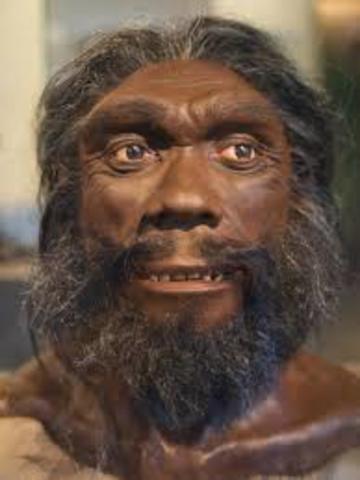 Alimentación del Homo heidelbergensis