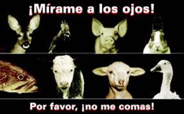 rechazo del vegetarianismo