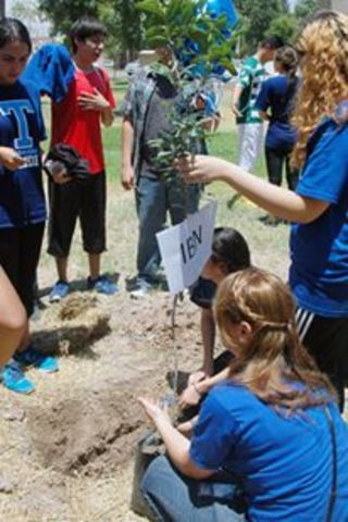 Potabilizacion del agua