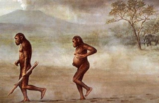 Australopitecus afarensis