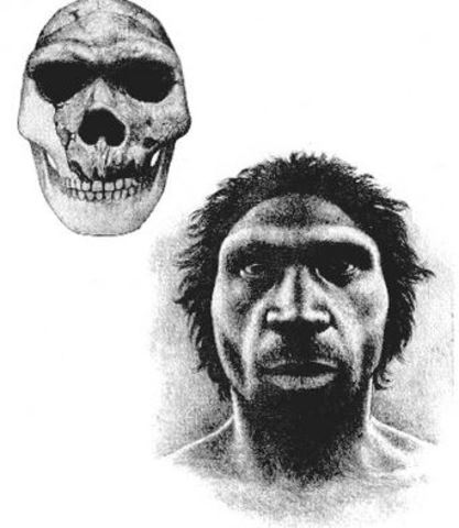 Homo Heidelbergensis