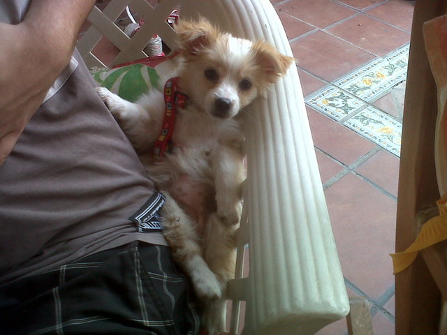 Kiara, ¡Bienvenida!