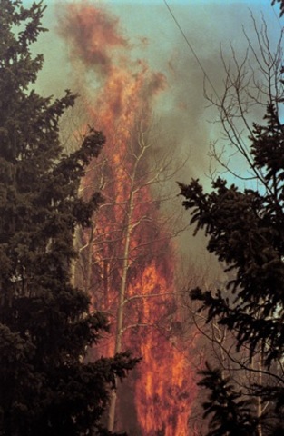 Fire becomes erratic