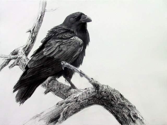Published "The Raven"