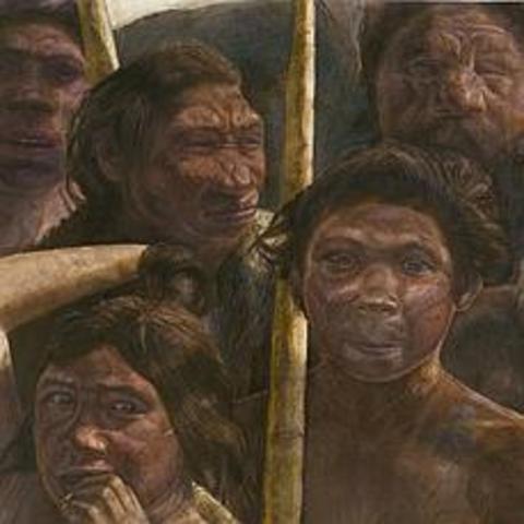 Homo Heidelbergensis