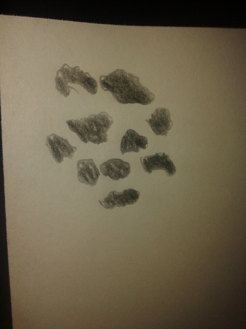 1310 teoría de largamente