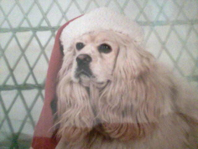 Bienvenida Marquesa.