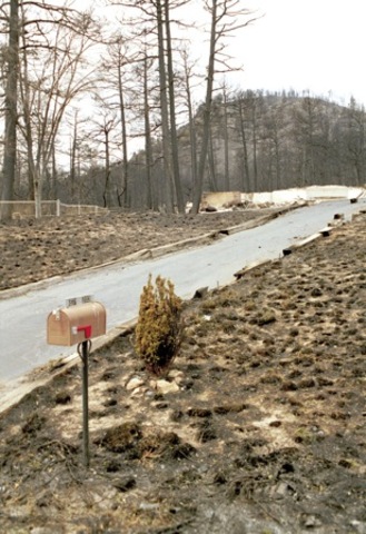 Cerro Grande fire contained