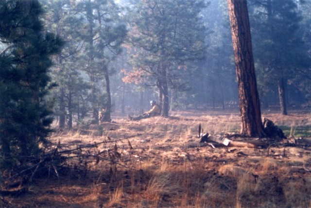 Prescribed burn starts