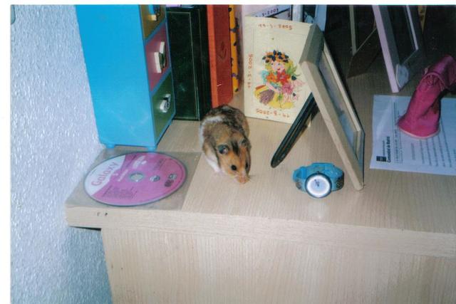 ¡Bienvenido Rasputín!