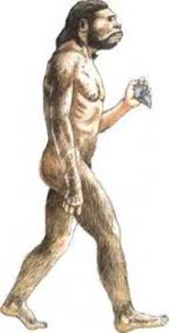 Homo Sapiens Sapiens