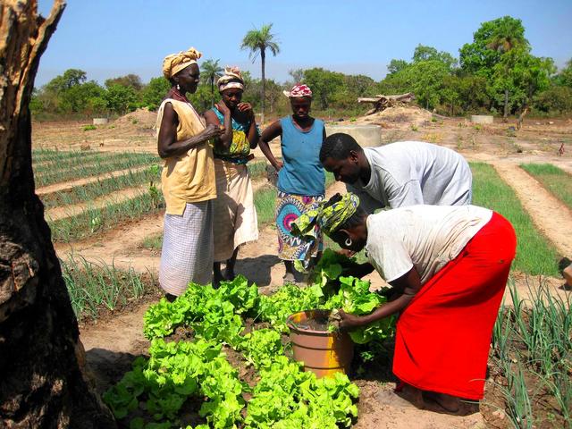 el vegetarianismo en africa
