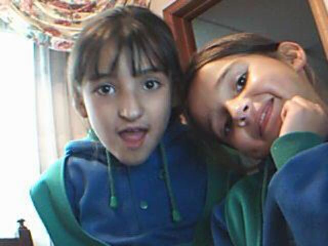 we study in my shelter