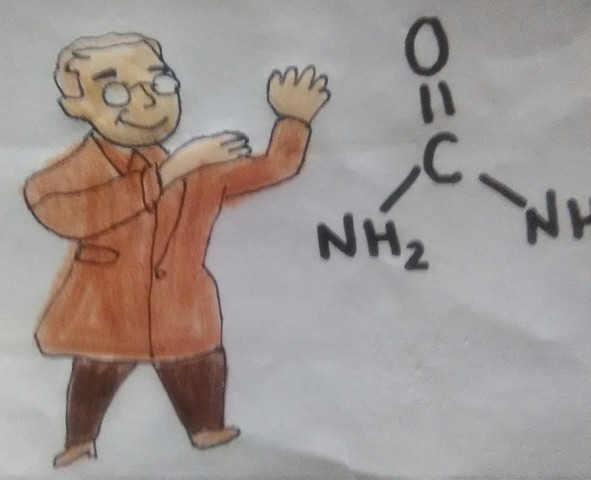 SINTETIZACION DE LA UREA