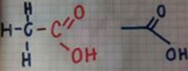 TEORIA DEL VITALISMO