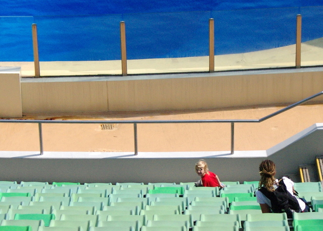 Un parc d'attractions ?