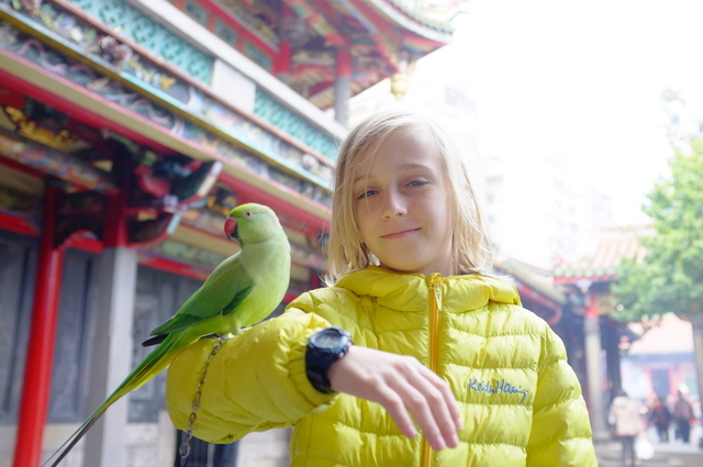 vacances du nouvelle an!