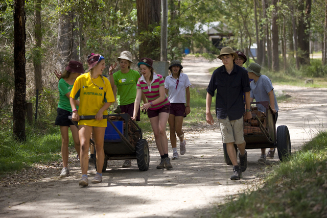 The Introduction of Ironbark