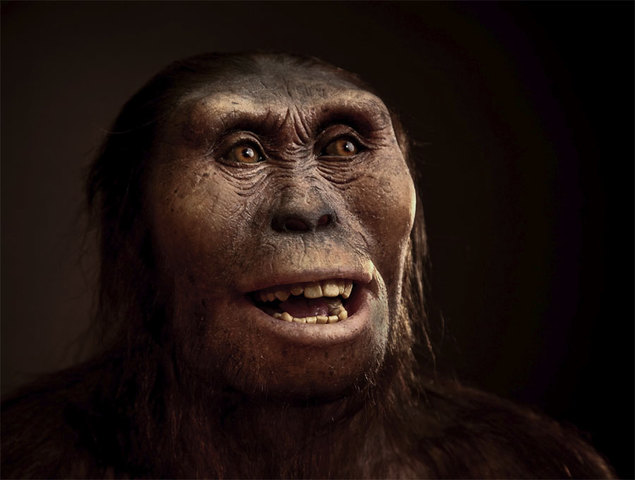 Australopitecus afarensis