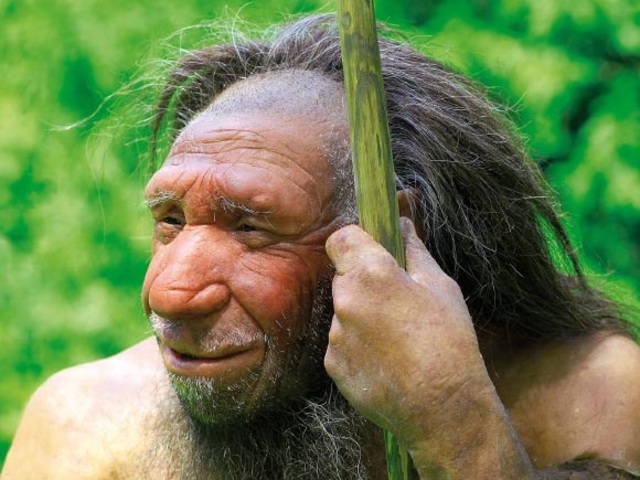 Homo neanderthalensis