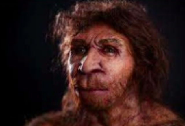 Homo Heidelbergensis