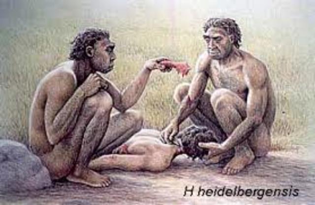 Homo Heidelbergensis