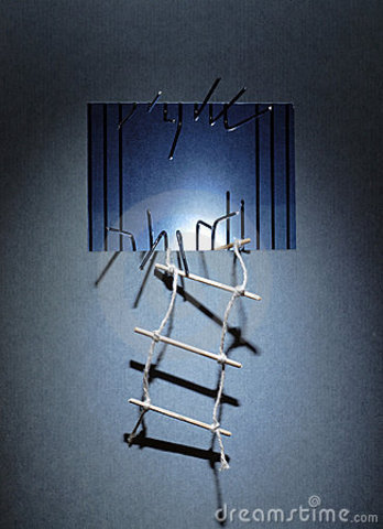 Tom Robinson is shot attempting to escape from prison (24)