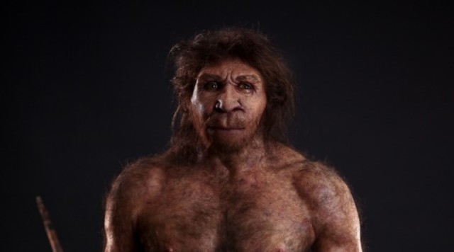 Homo Heidelbergensis