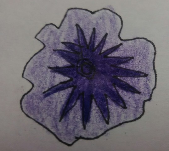 SINTETIZACION DE LA MALVA