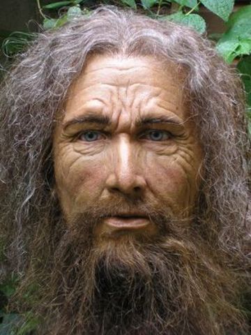 Homo sapiens sapiens