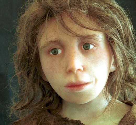 Homo sapiens sapiens