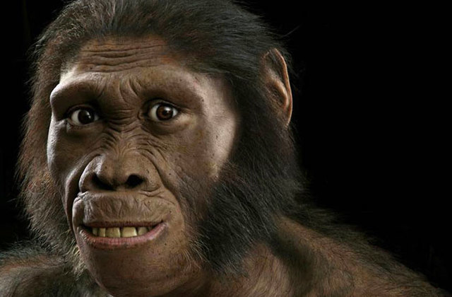 Australopithecus anamesis