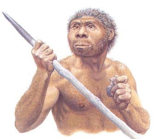 Homo erectus (1 millón de años)