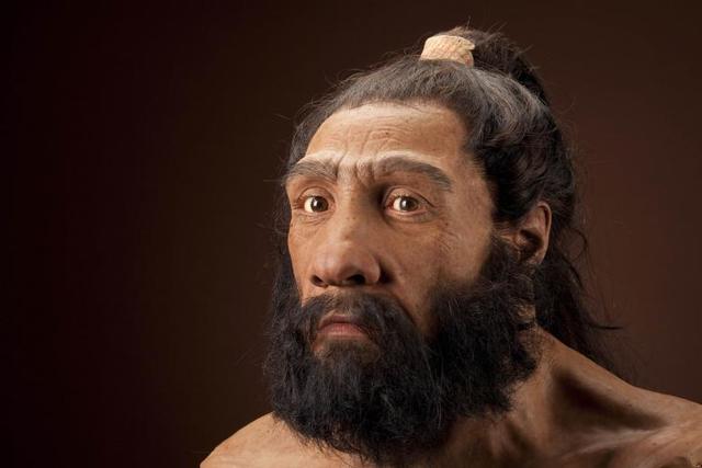 Homo Neanderthalensis