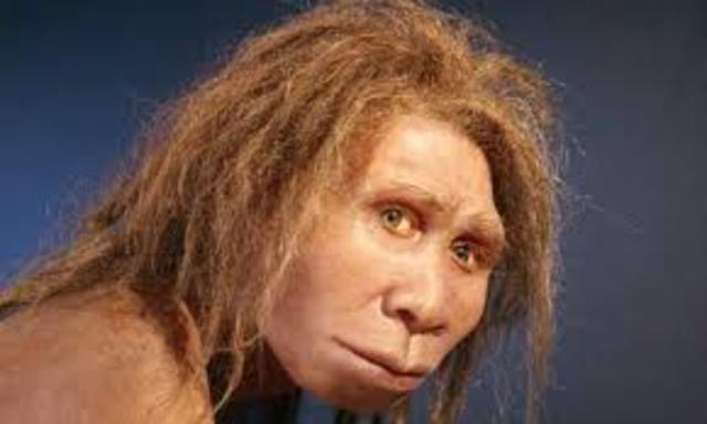 Homo sapiens sapiens