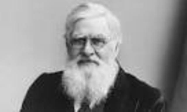 Competition for Evolution