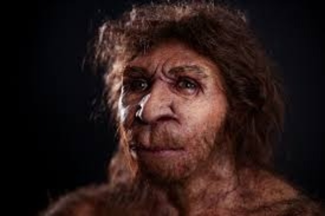 Homo Heidelbengesis