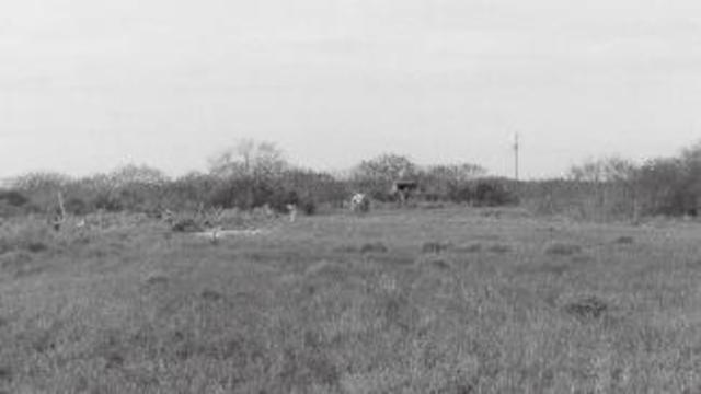 Battle of Palmito Ranch