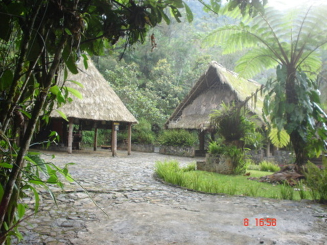 MARIO DARY RIVERA 1977-1978