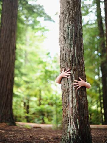 Primeros acercamientos Calidad-Medio Ambiente