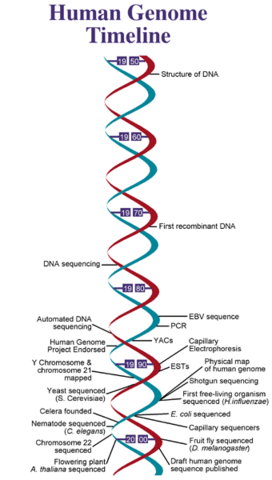 Human Genome Project