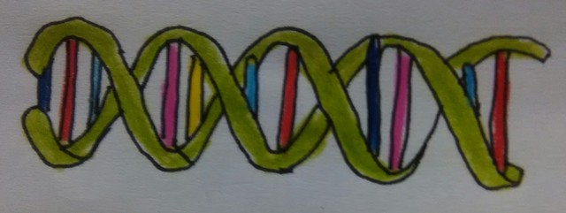 ESTRUCTURA DEL ACIDO DESOXIRRIBONUCLEICO