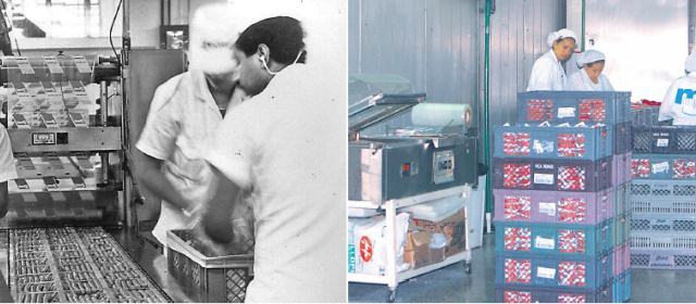 Ampliación Industria Cárnica